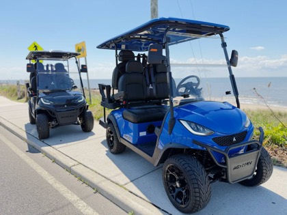 Blue Back Bay Rentals golf cart parked beside the Delaware Bay shoreline.