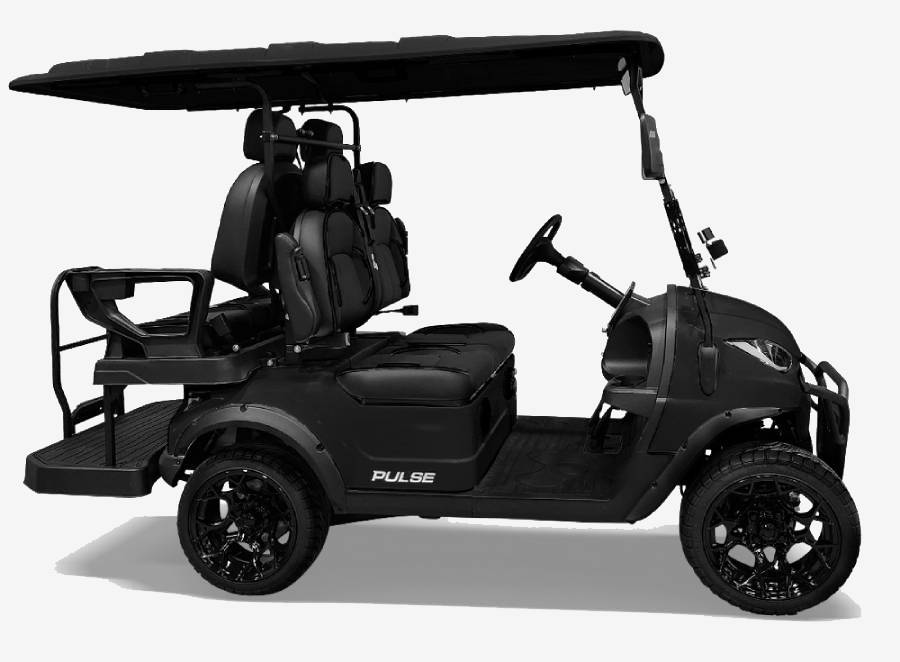 Back Bay Rentals charcoal 4-seater golf cart